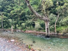 -龙苍沟森林公园
