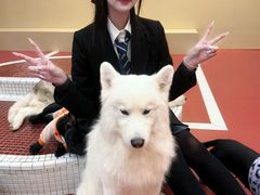 -和它·交个朋友·狗咖猫咖(爱琴海店)