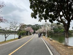 -松山湖风景区松湖烟雨