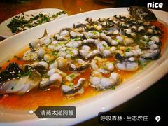 -呼吸森林·生态农庄农家乐私房菜