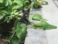 -老北京风情街