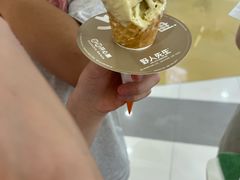 -野人先生Gelato(上海长宁龙之梦店)