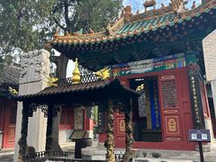 -药王庙(安国市)