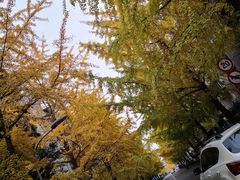 -四川大学(望江校区)