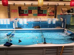 水产区-钵家大院·地道湖北菜(江夏·大花岭店)