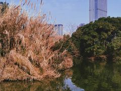 -艾溪湖湿地公园