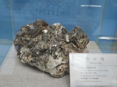 -延庆地质公园博物馆