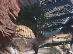 -湖南省地质博物馆