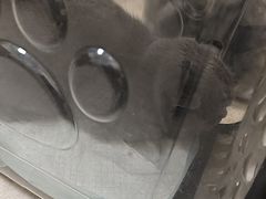 -艾贝尔宠物医院·狂犬免疫点(江山金象城店)