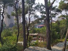 -八仙山公园