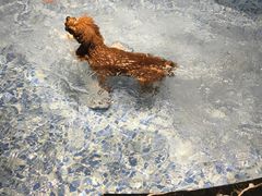 -MOLLY'S萌宠生活馆