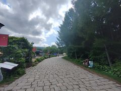 -香炉山国家森林公园
