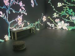 -成都梵高星空艺术馆(春熙路旗舰店)