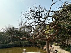 -秋霞圃