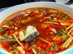 -尽膳·鱼鲜川菜(宽窄巷子店)