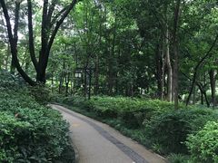 -成都市活水公园