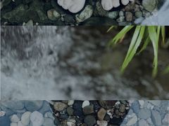 -龙窝子