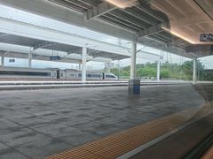 -深圳坪山站