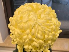 -汇龙潭