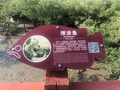 -北海金海湾红树林生态旅游区