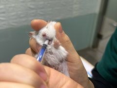 -雨林宠物医院 非犬猫异宠专科