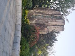 -昆山城市生态森林公园