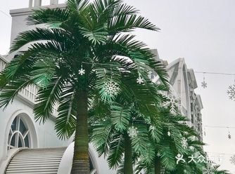 你梦想中的私密花园高颜值海岛婚礼—格乐利雅