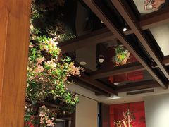 -星·South Beauty·俏江南(国贸店)