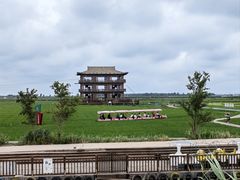 -红海滩国家风景廊道