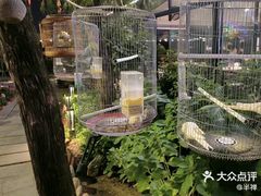 -蘇河湾·新鲁菜·泰山宴(泰山店)