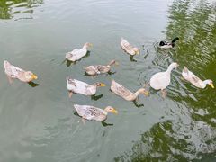 -J Create城市露营咖啡·简餐·宠物(上海动物园店)