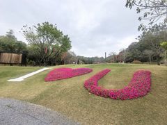 -云溪植物园