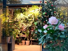 -自由生长植物工作室(深港花卉中心店)
