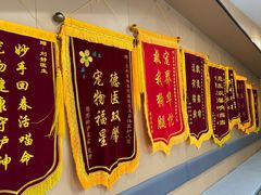 -贝利宠物医院·骨科·眼科·肿瘤转诊中心(南坪诊疗中心)
