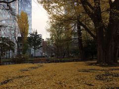 iphone_upload_pic-北海道厅旧本厅舍(旧本庁舎)