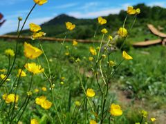 -白草畔自然风景区