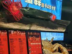-蟹犇前•帝王蟹雪蟹(陆家嘴店)