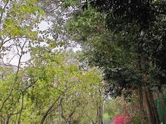 -红花湖景区