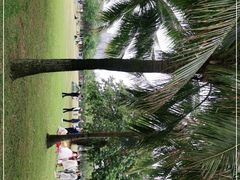 -白沙门生态公园