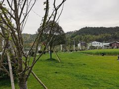 -山水一号·中餐厅