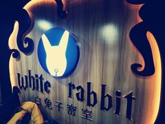-白兔子密室(长寿路店)