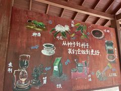 -兴隆隆苑咖啡庄园