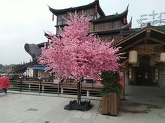 -二十八里太湖船菜(吉祥路店)