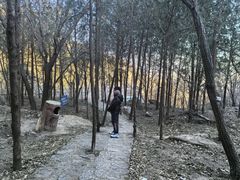 -北京凤凰岭