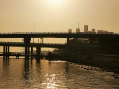 -深圳湾公园(南山区)