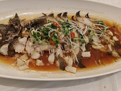 -南湖春色海鲜食府(中兴街店)