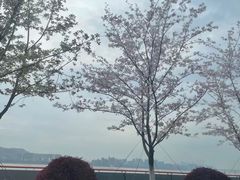 -钱塘江