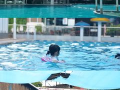 -重庆市奥林匹克体育中心-游泳跳水馆