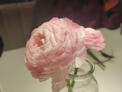 -秀儿家の小确幸融合西餐厅(万达店)