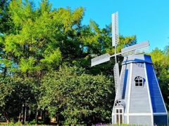 -黑龙江省森林植物园